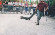 018-At the alligator show